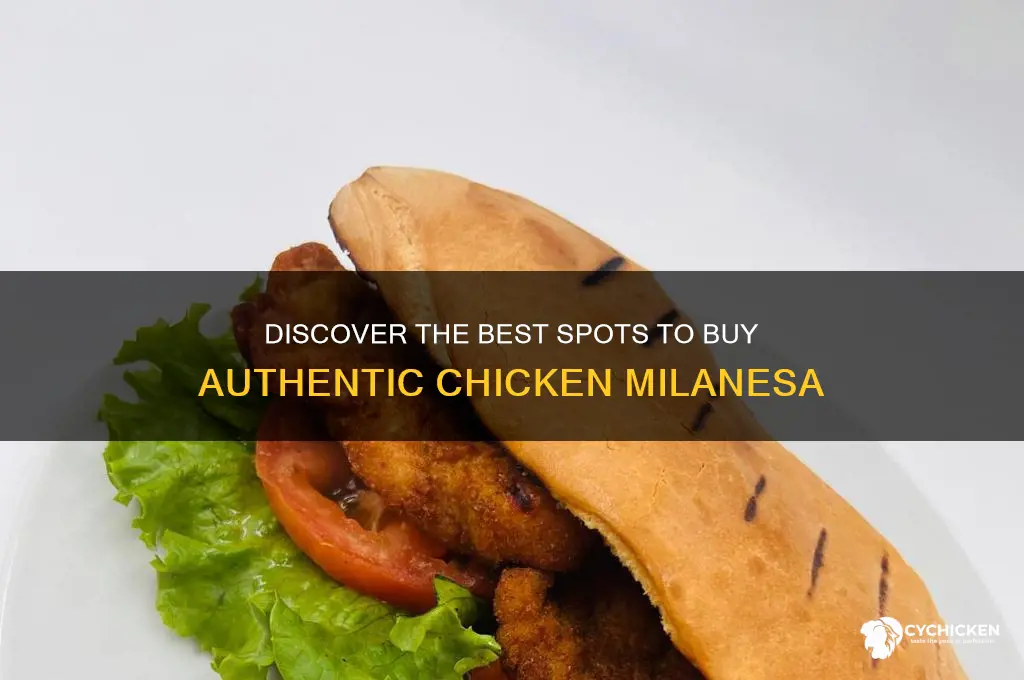 where to buy chicken milanesa