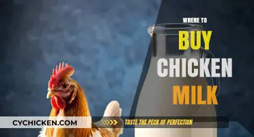 Where to Find Chicken Milk: A Guide to Unique Sources