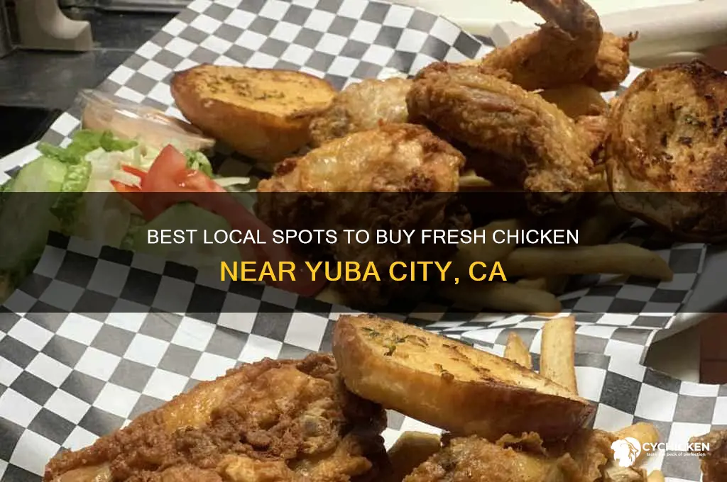 where to buy chicken near yuba city ca