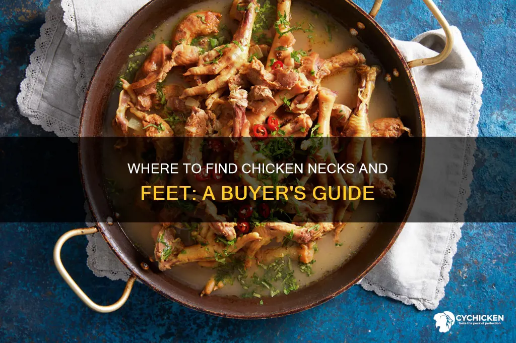 where to buy chicken necks and feet