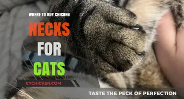 Top Spots to Purchase Chicken Necks for Your Feline Friend
