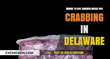 Best Spots to Buy Chicken Necks for Crabbing in Delaware