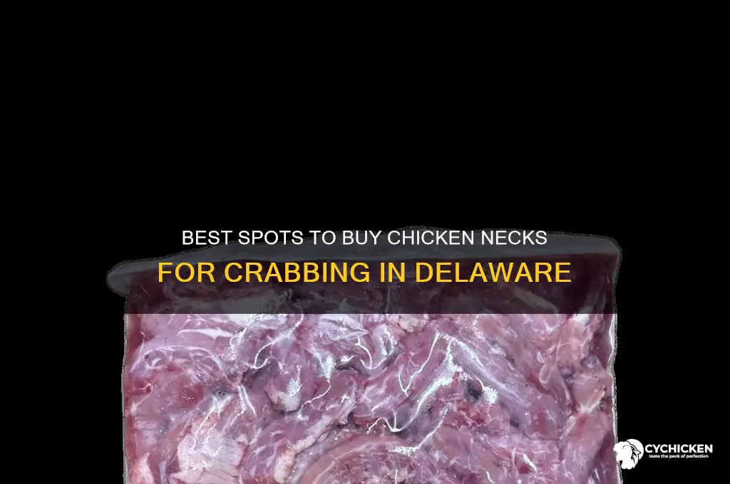 where to buy chicken necks for crabbing in delaware