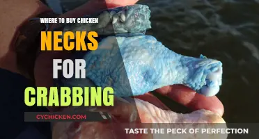 Best Places to Buy Chicken Necks for Crabbing: A Guide