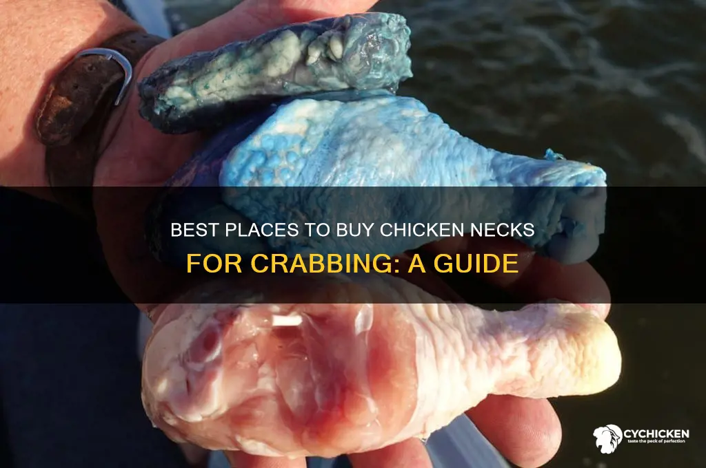 where to buy chicken necks for crabbing