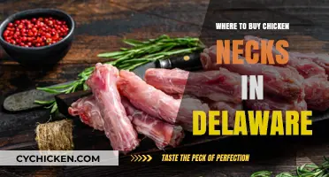 Delaware's Best Spots to Purchase Fresh Chicken Necks Easily