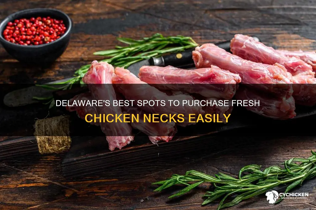 where to buy chicken necks in delaware