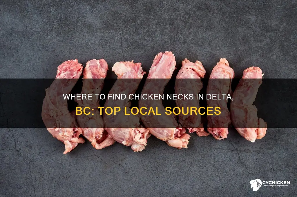 where to buy chicken necks in delta bc