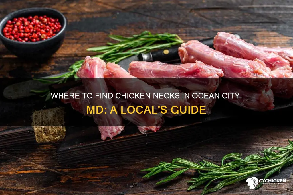 where to buy chicken necks in ocean city md