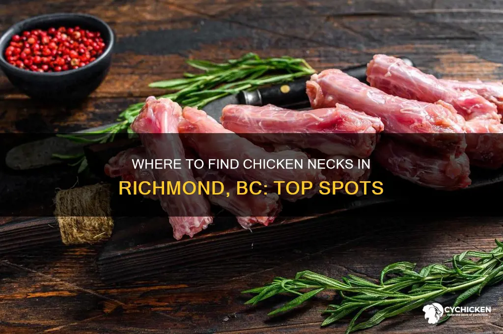 where to buy chicken necks in richmond bc