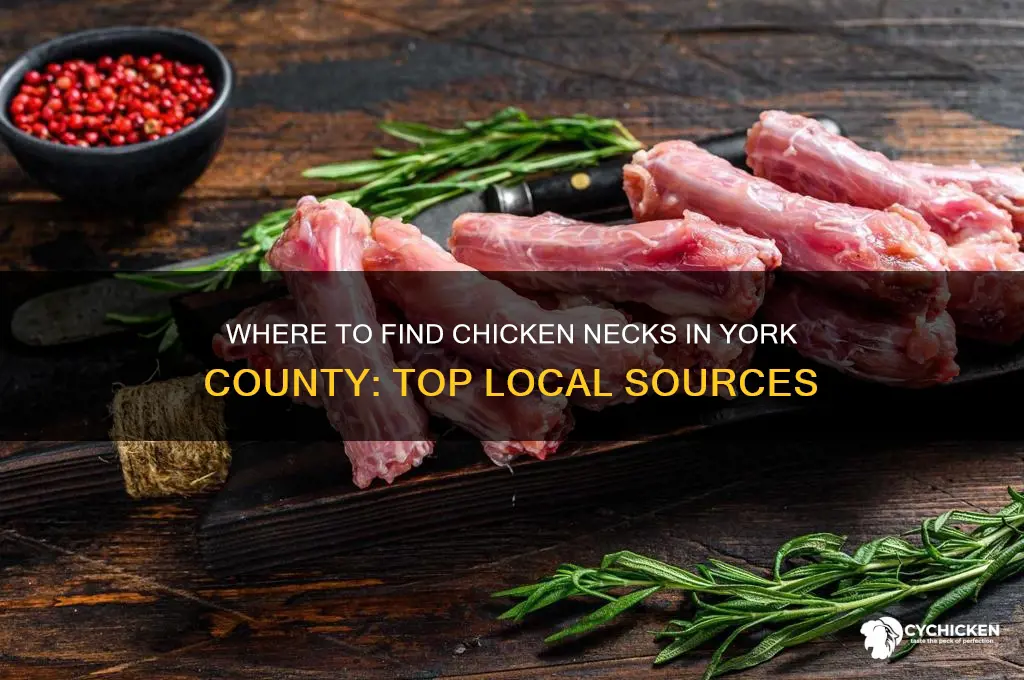 where to buy chicken necks in york county
