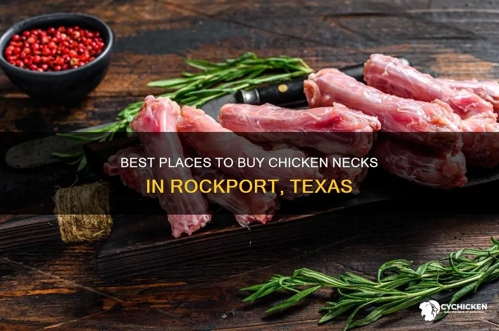 where to buy chicken necks rockport