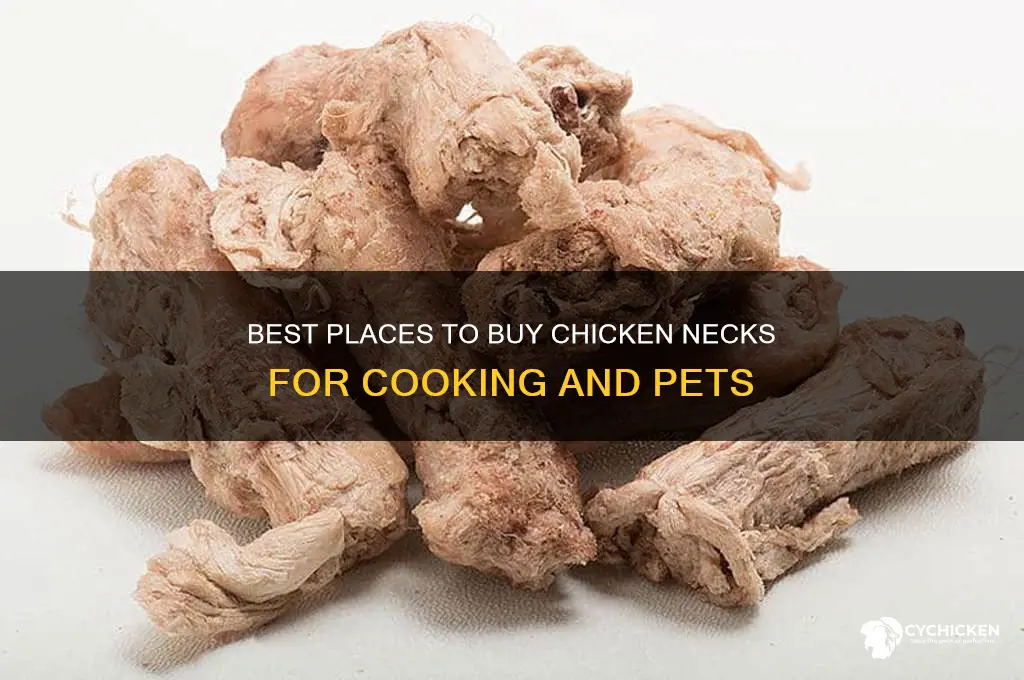 where to buy chicken necks