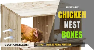 Best Places to Purchase Quality Chicken Nest Boxes Online