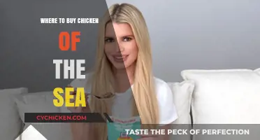 Discover the Best Places to Buy Chicken of the Sea