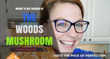 Discover Top Spots to Buy Chicken of the Woods Mushroom