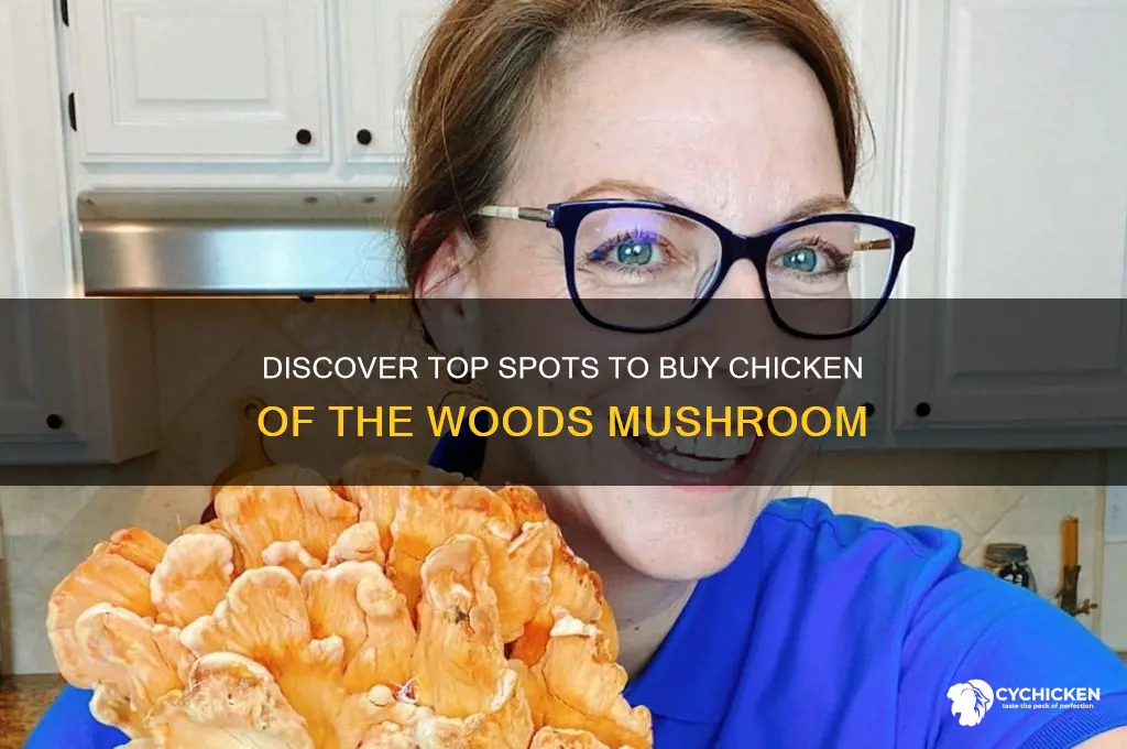 where to buy chicken of the woods mushroom