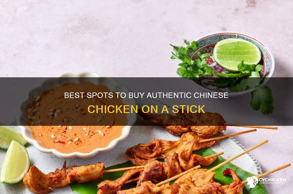 where to buy chicken on a stick chinese