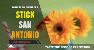 Best Spots to Buy Delicious Chicken on a Stick in San Antonio