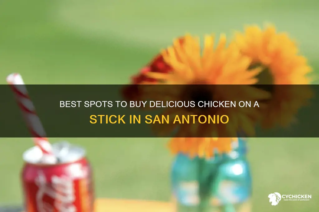 where to buy chicken on a stick san antonio