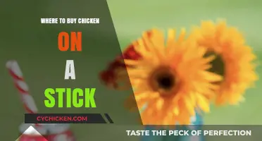 Best Spots to Find Delicious Chicken on a Stick Near You