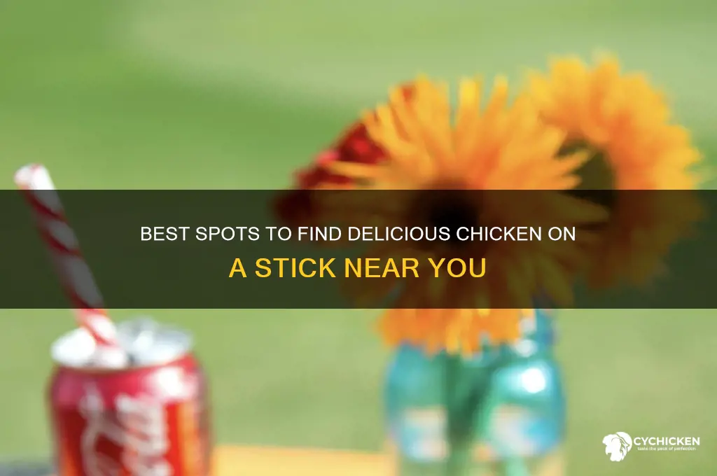 where to buy chicken on a stick