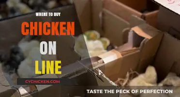 Best Online Chicken Retailers: Fresh, Organic, and Convenient Delivery Options