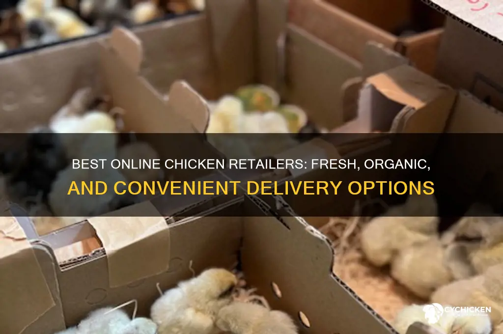 where to buy chicken on line