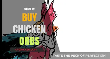 Discover the Best Places to Buy Chicken Orbs Online and Locally
