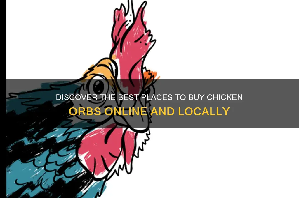 where to buy chicken orbs