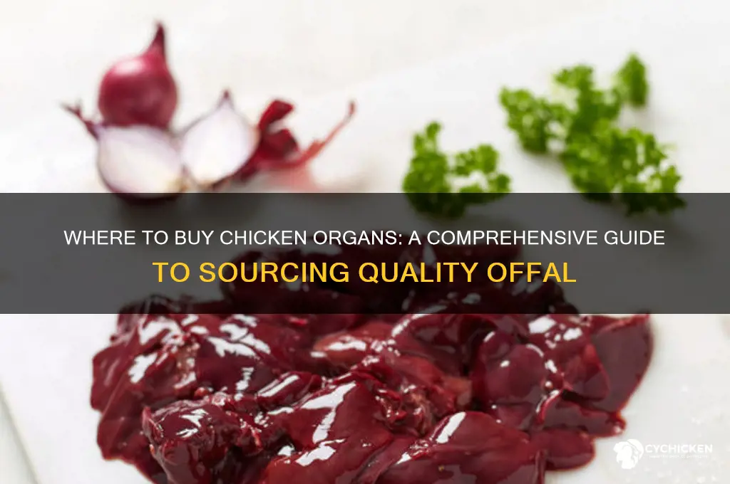 where to buy chicken organs