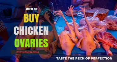 Where to Buy Chicken Ovaries: Top Sources and Tips