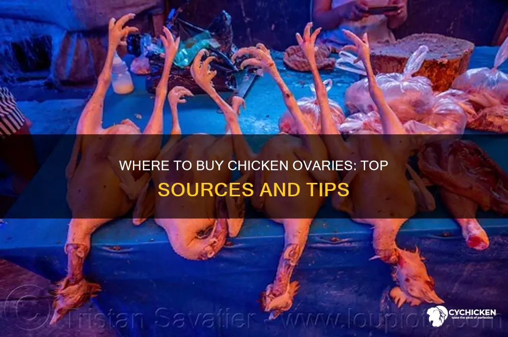 where to buy chicken ovaries
