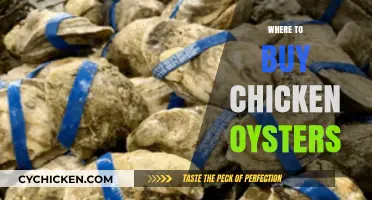 Discover the Best Spots to Buy Delicious Chicken Oysters Today
