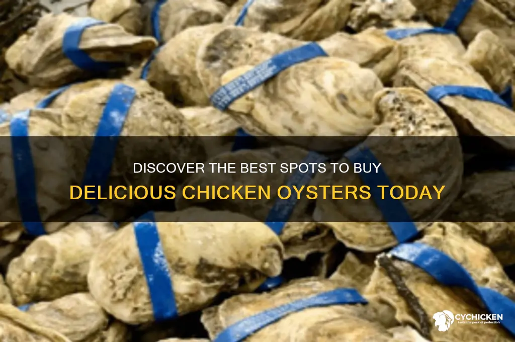 where to buy chicken oysters