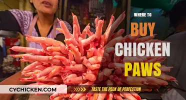Best Places to Buy Chicken Paws: A Comprehensive Guide