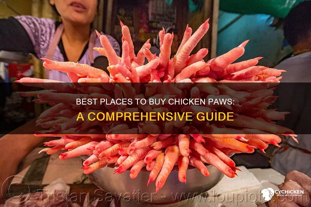 where to buy chicken paws