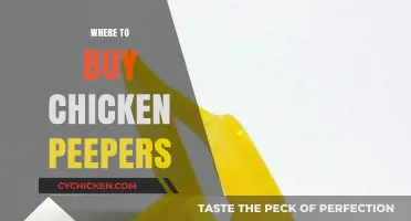 Where to Buy Chicken Peepers: Top Retailers and Online Stores
