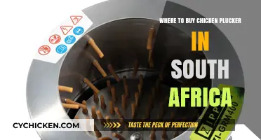 Top Chicken Plucker Suppliers in South Africa: Where to Buy