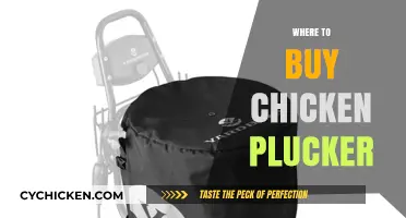 Best Places to Purchase Efficient Chicken Pluckers for Farmers