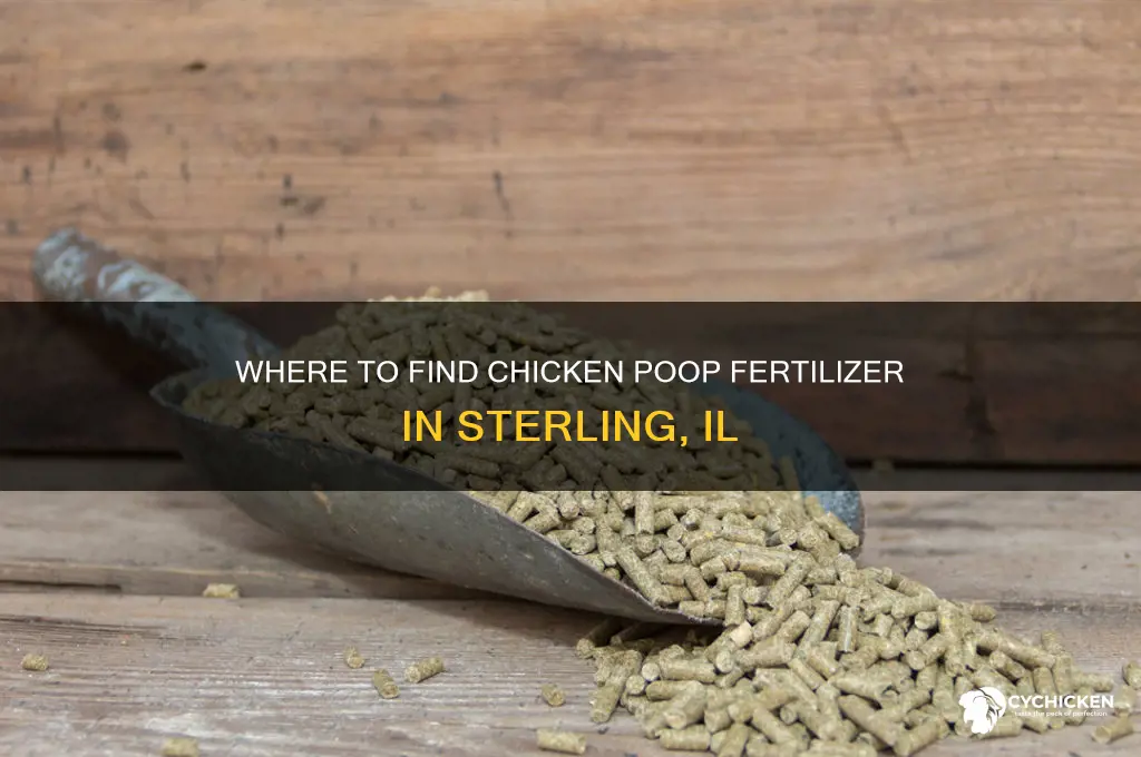 where to buy chicken poop in sterling il