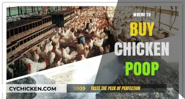 Where to Buy Chicken Poop: Top Sources for Organic Fertilizer
