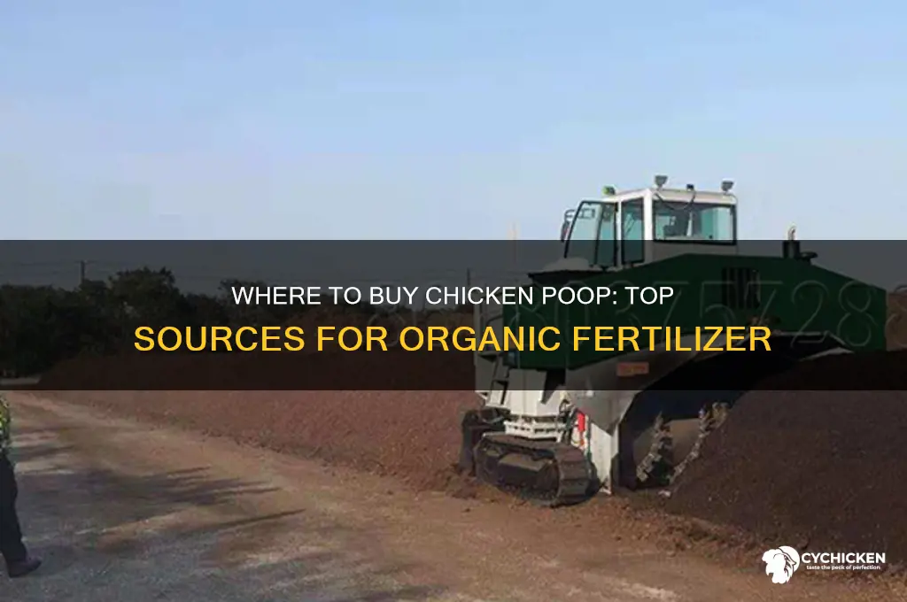where to buy chicken poop