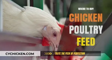 Best Places to Purchase Quality Chicken Poultry Feed Locally & Online