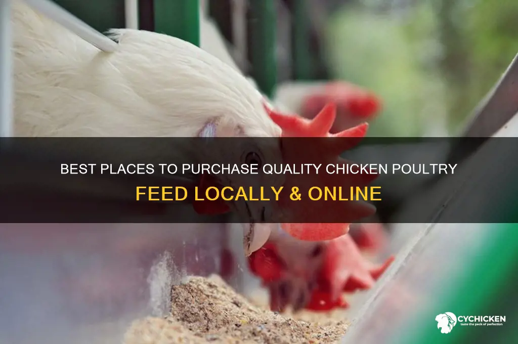 where to buy chicken poultry feed