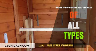 Best Places to Buy Chicken Roosting Bars: Types & Options