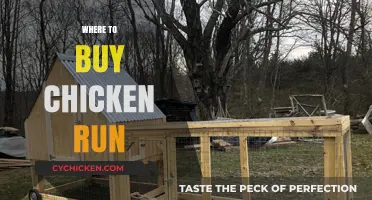 Best Places to Purchase Chicken Runs for Your Flock