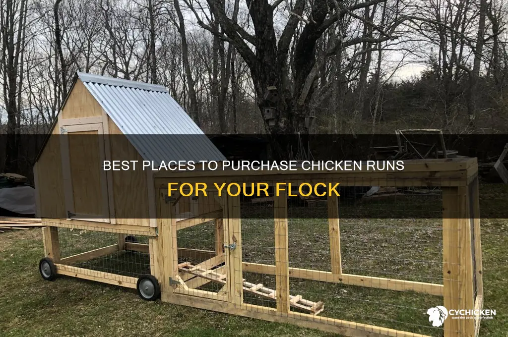 where to buy chicken run