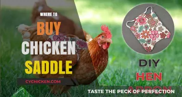 Best Places to Buy Chicken Saddles for Happy, Healthy Hens