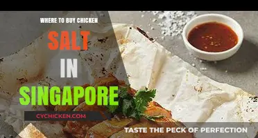 Discover the Best Spots to Buy Chicken Salt in Singapore